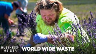 How Ex-Miners Turn Toxic Land into Lavender Farms | World Wide Waste | Business Insider