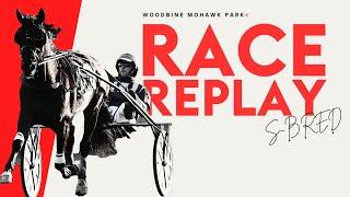 Mohawk, Sbred, December 21, 2024 Race 1 | Woodbine Horse Race Replay