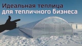 Фермерская теплица под пленку 8х40 самый практичный вариант для старта тепличного бизнеса