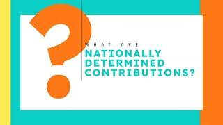 What are Nationally Determined Contributions (NDCs) under the international climate change process?