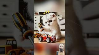 Ok need to speed you up  #cat #funnycats #animals #cattales #catworld #ytshorts