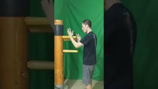 Wing Chun Wooden Dummy Basic Skills 1