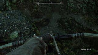 Skyrim SE | Snapleg Cave | LVL 10 Argonian | Exterminating the 3 Skeevers at the entrance