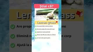 Lemon grass, o plantă parfumată cu beneficii vindecatoare #short #shorts #nutritie #sanatate