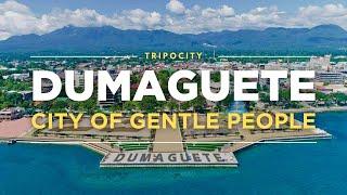 Dumaguete: Casaroro Falls, Apo Island and More Things to do in Dumaguete, Philippines