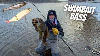 Swimbait Fishing for BIG Winter Smallmouth