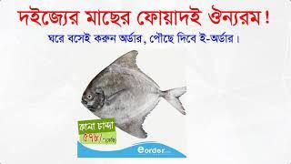 Sea Fish Online Market in Dhaka | Best Sea Fish in Bangladesh | Eorder.com.bd