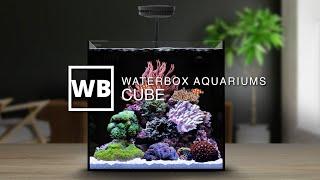 Waterbox Aquariums CUBE Overview