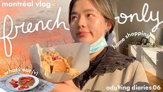 ADULTING DIARIES in FRENCHhome shopping, vegan eats, how I learn french mini q&a + lingoda review