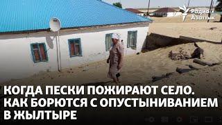 Когда пески пожирают село. Как борются с опустыниванием в Жылтыре