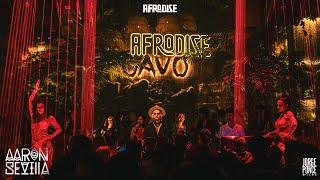 Aaron Sevilla at Afrodise Cavo Dubai / Afro House Dj Set