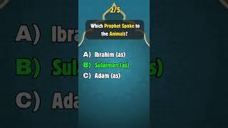 Islamic Knowledge Quiz #muslim #islamicquestions #islamictrivia #shorts #islam #quiz z