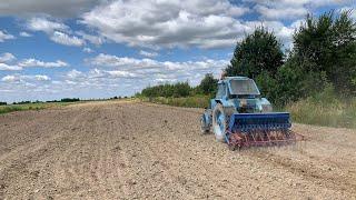 ДИСКОВКА та ПОСІВНА РІПИ!!!ЧИМ ми ГОДУЄМО ВЗимку ХУДОБУ!?