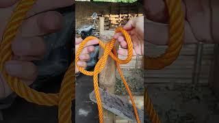 Using this knot will give you 100% guarantee!!