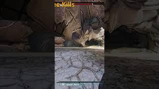 Has This Ever Happened To You In Borderlands 2?
