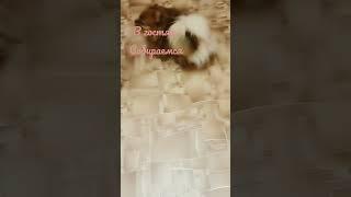 собираемся️️️ #боня #лола