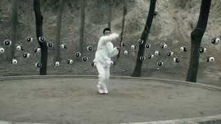 Chen Village Taijiquan Instructor Zhang Yan Fei