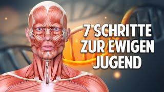 Die Jungbrunnenformel: Die 7 einfachen Schritte zur ewigen Jugend - Prof Dr. Sven Voelpel