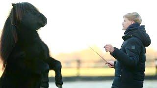 The magic of horses.. Plus special ending