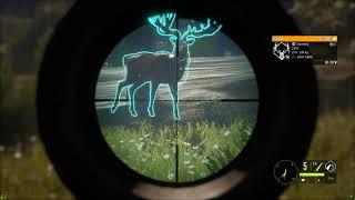 theHunter Call of the Wild: Harvesting a Gold Red Deer