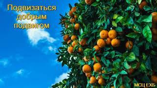 "Подвизаться добрым подвигом". А. Н. Оскаленко. Проповедь. МСЦ ЕХБ.