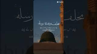 Beautiful Quran recitation #islamicworld #naatsharif #youtubeshorts