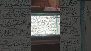#podcast #garden #changeyourmindsetchangeyourlife #quran