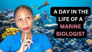 Exploring Odysseo: Oceanarium Mauritius | A Day As a Marine Biologist!