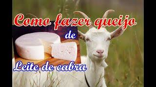 Aprenda como fazer queijo de leite de cabra