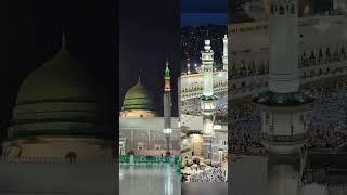#Taj dar e harm#MashAllah #islamic #viral