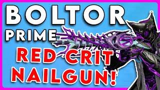 Warframe Boltor Prime Build 2024 | Incarnon Wall Decorator for Steel Path!