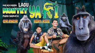 Lagu MONYET YAKI - OM ANOM (feat. ALLE) YAKI BLACK MONKEY Song