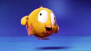 Jumping Chicky | Where's Chicky? | Cartoon Collection in English for Kids | New episodes