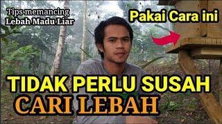 Cara Memancing Lebah Liar dengan Kotak Budidaya