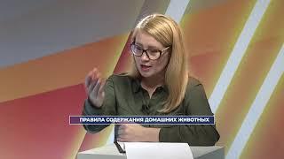 Правила содержания домашних животных