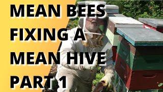 Mean bees, fixing a mean hive Part 1