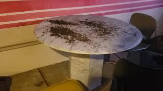 Szarotka  patio harassment