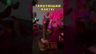 Танцующий кактус usb, говорящий , поющий, музыкальный,  развивающая игрушка для детей кактус 2022