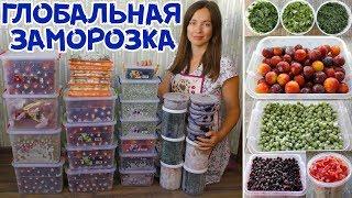 БОЛЬШАЯ ЗАМОРОЗКА ПРОДУКТОВ НА ЗИМУ! Как храню и Что замораживаю?