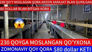 80MING$ DOLLAR KETGAN QO'YXONA 230 TA QO'YGA JOY TAYYOR ARZON USLUBDA QO'YXONA QURMOQCHMISIZ