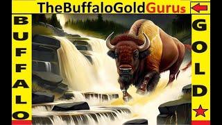 BIG WIN for us on BUFFALO GOLD (lots of bonuses!)