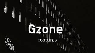 Gzone features