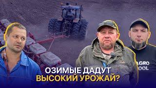 Дождливая посевная, выбор удобрений и прогноз урожая 2024 | Лазарев и К, BA AgroGroup