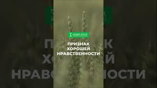 Признак хорошей нравствености | Абу Яхья аль-Къирми | Коротко о важном
