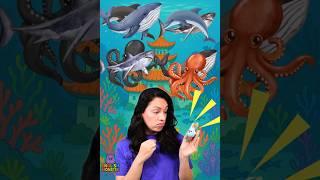 Sea Animals - Kids vocabulary - Learn English for kids - English educational video