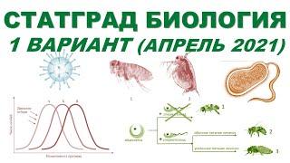 СТАТГРАД БИОЛОГИЯ | 1 вариант | Апрель 2021