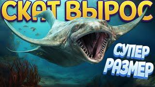 СКАТ ПЕРЕРОСТОК ( Feed and Grow: Fish )