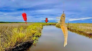 SO...You Want to Catch Redfish? Watch THIS! [Simple, Easy RED DRUM Fishing]