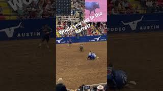 Barrel man takes a tumble when bull comes around #bullfighter #bull #bullfighting #bullriding #rodeo