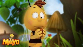Maya Saves the Beehive! - Maya the Bee - FULL COMPILATION